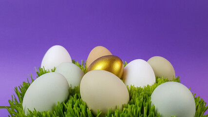 easter eggs are multicolored on the green natural grass. background background is trending very heri.