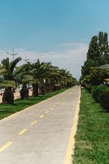Fototapeta na wymiar Nice asphalt road with palm trees against blue sky and clouds