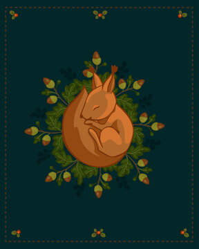 Little sleeping squirrel on a background of oak branches with acorns. Cartoon vector graphics.