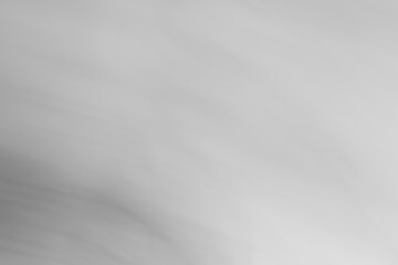 Obraz premium Gray white monochrome background.