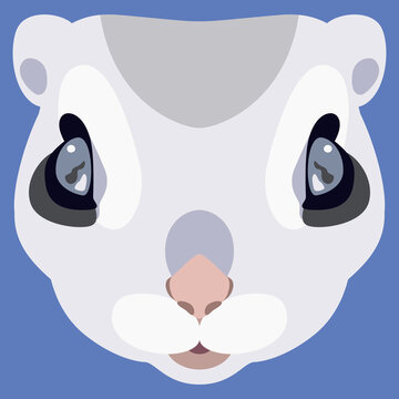Funny face of a flying squirrel. Rodent mask. Animal portrait. Cartoon style. Isolated vector illustration. On blue background.