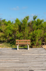 bench in the Beach