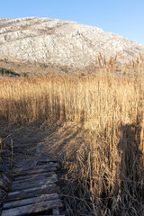 Autumn view of Dragoman marsh, Bulgaria
