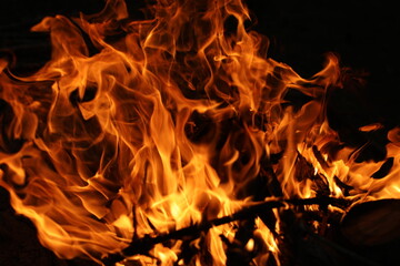 Fire flames on black background. The fire in the natural forest, flames and sparks on a dark background Fuel , lights on a black background.