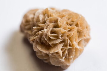 Desert Rose natural mineral stone cluster