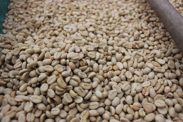 Colombian organic coffee beans