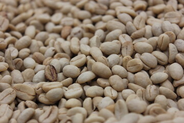 Colombian organic coffee beans