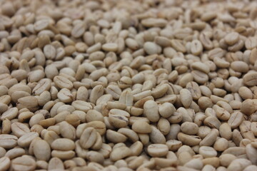 Colombian organic coffee beans