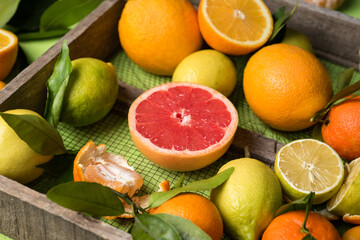 Grapefruits in assortment of citrus fruits