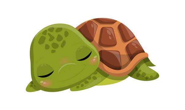 Cute turtle sleep. Social media stickers and badges for childrens. Sweet dreams, relaxation and good daily routine. Animal resting. Cartoon flat vector illustration isolated on white background