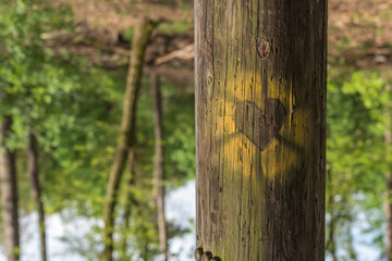 Fototapeta premium Sometimes the world turns upside down in love