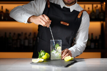Barman preparing mojito cocktail. High quality photography. 