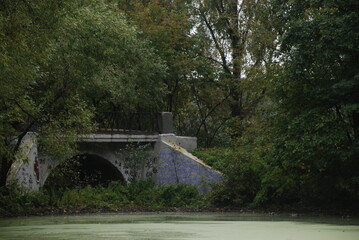 bridge in the forest