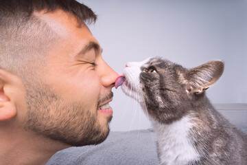 Cute cat licking or kissing owner's nose. Pets and humans friendship, love and trust concept - obrazy, fototapety, plakaty