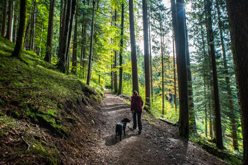 Hiking with a dog in the forest near lake Schliersee in Bavaria