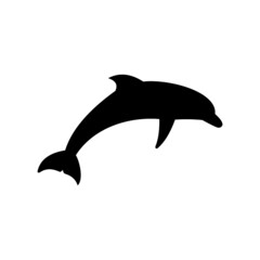 dolphin isolated on white