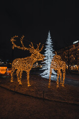 17.12.2021 - Helsinki. Two reindeer created to celebrate Christmas in the park. between them a...