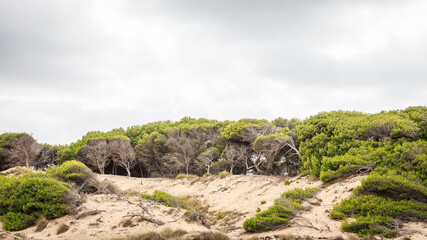 lighthouse cap formentor mallorca cliffs