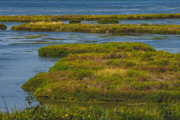 Parco del Delte del Po