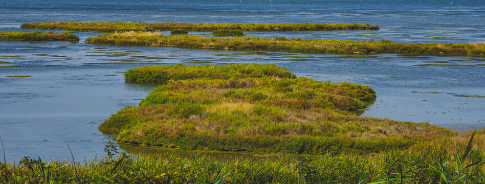 Parco del Delte del Po