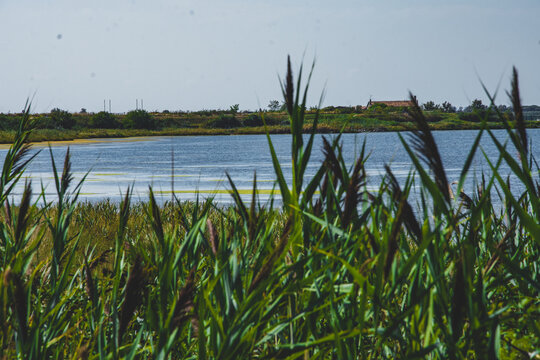 Parco del Delte del Po