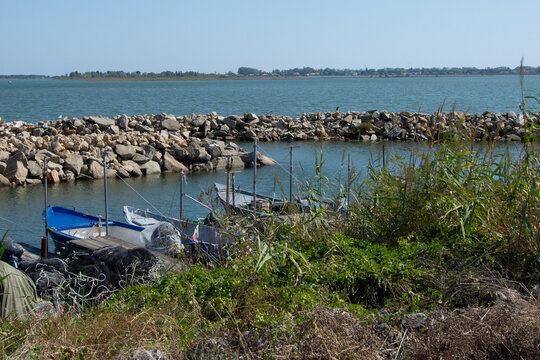 Parco del Delte del Po