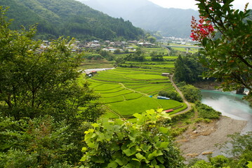 あらぎ島
