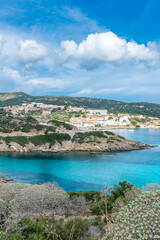 Naklejka na ściany i meble Beautiful turquoise water of a bay in Asinara Island, Sardinia