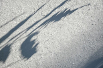 The shadow of the sun shining through the wood