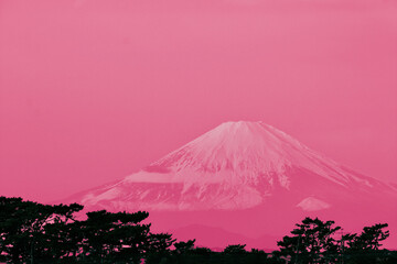 Fuji rosâtre