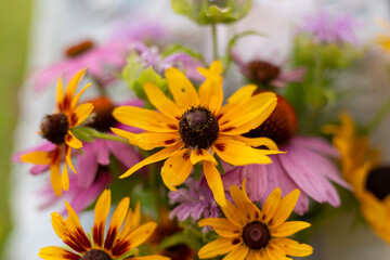 yellow and purple wildflowers