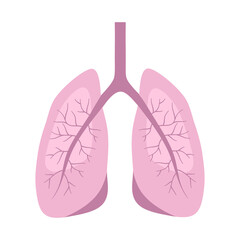 Human lungs in flat design on white background.