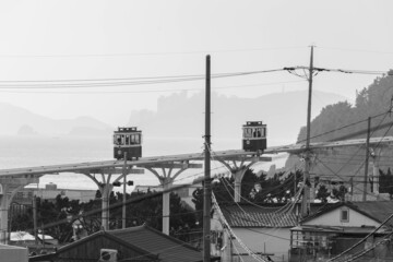 Obraz premium 나무