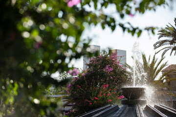 Tecate, Baja California, Mexico - September 14, 2021: Late afternoon light shines on the public town square fountain.