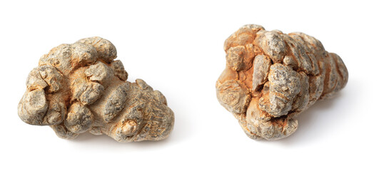 Dried herb, notoginseng roots isolated on white background