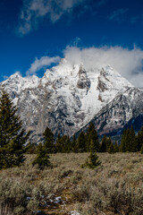 Sage grass field at the base of a mountain