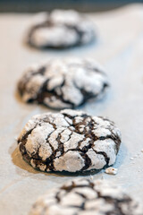 Crinkle cookies before baking, ready for the family gathering!