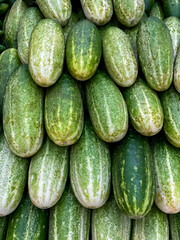 Alimentos, legumes, Pepinos
