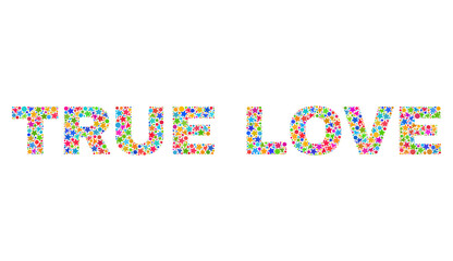 TRUE LOVE caption with bright mosaic flat style. Colorful vector illustration of TRUE LOVE caption with scattered star elements and small circles. Festive design for decoration titles.