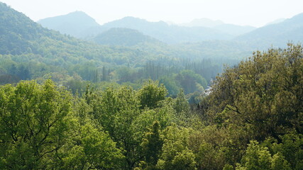 The beautiful lake landscapes in the Hangzhou city of the China in spring with fresh green mountains