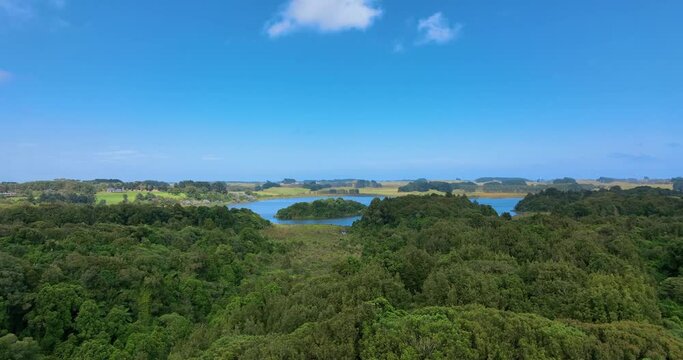 Wind blows native trees on flight towards bird sanctuary Lake Papaitonga