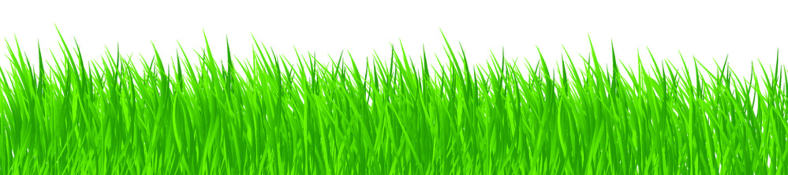 green grass background