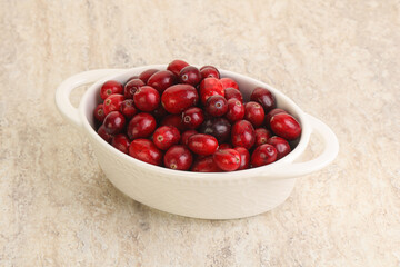 Ripe sweet tasty cranberry in the bowl