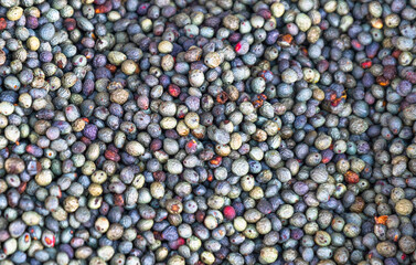 Fruits of turpentine tree. in Turkish, it is called menengic or citlembik.