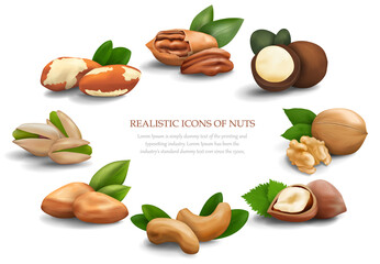 Banner with realistic nuts laid out in a circle. Macadamia nuts, walnuts, pistachios, cashews, Brazil nuts, hazelnuts, almonds and pecans. Nuts in shell, nut kernels and their leaves. Vector