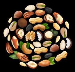 nuts laid out in a circle on a dark background. vector graphics
