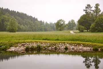 Waldlichtung mit spiegelndem See