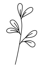 Vector twig with leaves in a minimalist style. Sprig isolated on white background. Floral elements. Hand-drawn botany. Vector elements for textile design and typography