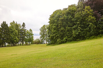 Grüne Wiese vor grünen Bäumen mit See im Hintergrund