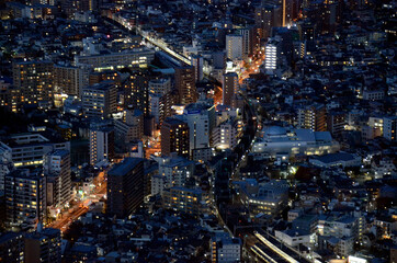 Fototapeta na wymiar 夜の東京